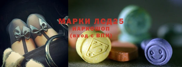винт Богданович