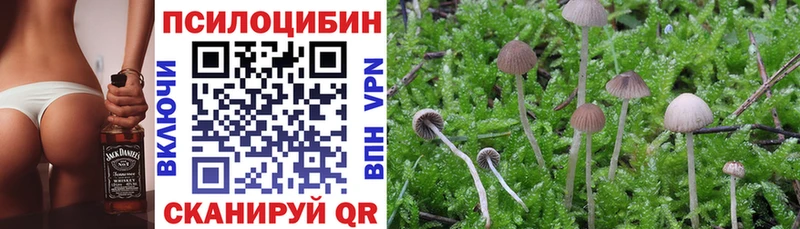 Галлюциногенные грибы прущие грибы купить наркотики цена Дрезна
